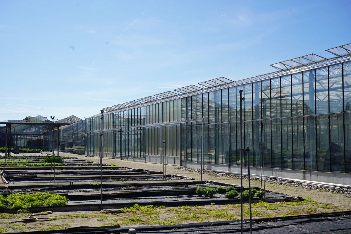 Zu sehen ist das Areal des Produktionsstandorts des Garten-Centers Meier in Tann.
